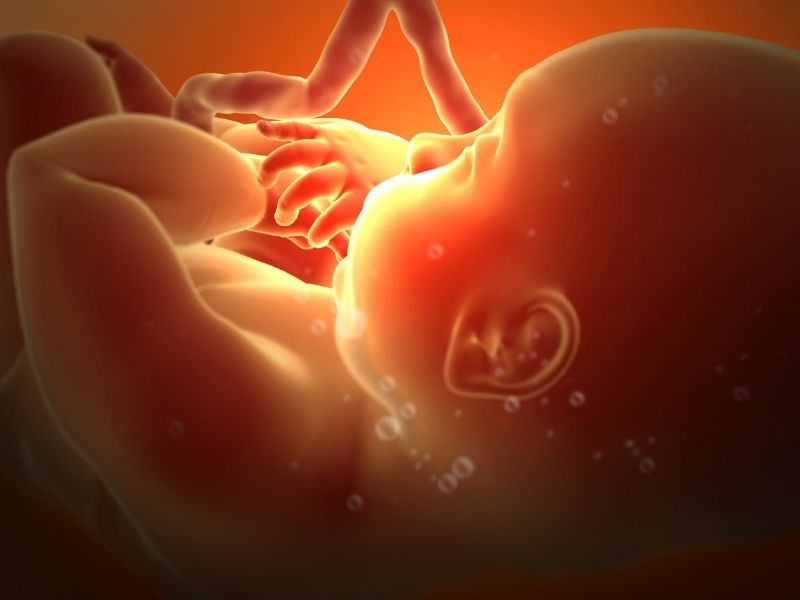 yuksek-riskli-gebeliklerde-gereken-testler