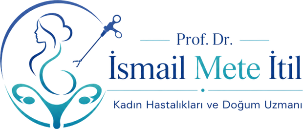 Prof. Dr. İsmail Mete İtil
